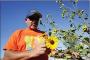  ?? ROSS D. FRANKLIN — THE ASSOCIATED PRESS ?? Masavi Perea, organizing director for Chispa Arizona, looks at flowers in the community garden May 18in Phoenix.