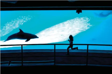  ?? Casey Jackson/Corpus Christi Caller-Times via AP ?? ■ A young girl runs toward the dolphins in an underwater observing area on May 10 at Texas State Aquarium in Corpus Christi, Texas.