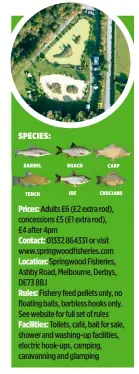  ??  ?? Prices: Adults £6 (£2 extra rod), concession­s £5 (£1 extra rod), £4 after 4pm
Contact: 01332 864331 or visit www.springwood­fisheries.com
Location: Springwood Fisheries, Ashby Road, Melbourne, Derbys, DE73 8BJ
Rules: Fishery feed pellets only, no...