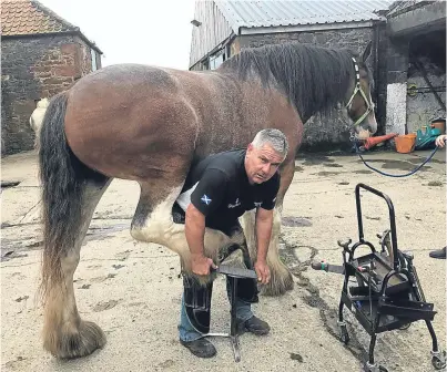  ??  ?? Jim Balfour is bringing his world beating team of farriers to Perth Show.