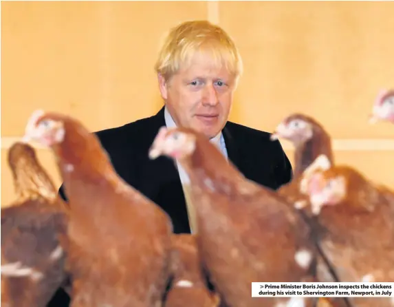  ??  ?? > Prime Minister Boris Johnson inspects the chickens during his visit to Shervingto­n Farm, Newport, in July