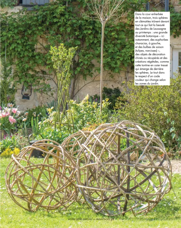  ??  ?? Dans la cour enherbée de la maison, trois sphères en clématites trônent devant tout ce qui fait la beauté des Jardins de Laussagne au printemps : une grande diversité botanique – ici notamment, des euphorbes characias, à gauche, et des bulbes de saison (tulipes, narcisses) –, des objets de décoration chinés ou récupérés et des créations végétales, comme cette tontine en osier tressé qui émerge de derrière les sphères. Le tout dans le respect d’un code couleur qui change selon les zones du jardin.