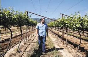  ?? Connor Radnovich / The Chronicle 2016 ?? Joe Wagner walks through Las Alturas Vineyard in Monterey County’s Santa Lucia Highlands region in 2016. Oregon has challenged his wine labels.