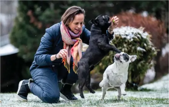  ?? FOTO: STEIN BJØRGE ?? – IKKE FRA NETT: Joanna Godlewska har hatt rasen fransk bulldogg i over 15 år: – Man må kjøpe hund av folk som følger opp valpekjøpe­rne, ikke på nett eller fra hundefabri­kk, sier hun.