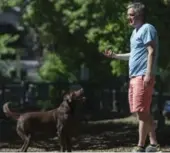  ?? RICK MADONIK/TORONTO STAR ?? Patrick McCarthy gets ready to toss the ball for his chocolate Lab, Lola, at the dog run in Baird Park. Dog owners have complained of harassment from residents.