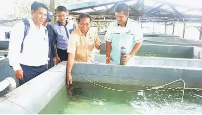  ??  ?? PEMBIAKAN BENIH: Dr Abdul Rahman (dua kanan) dan ahli rombongan sempat memegang anak ikan siakap di SPDP di Punang Lawas semalam.