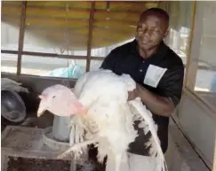  ??  ?? A worker shows off a foreign turkey