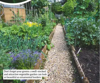  ??  ?? Don’t forget your greens: a well-stocked and attractive vegetable garden can look as beautiful as ornamental borders