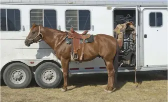  ??  ?? Factor in the weight of your horses and all the gear you’ll be packing in the trailer to calculate the GtWr.