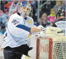  ?? FOTO: DPA ?? Bereit für die DEL-Finalserie gegen die Grizzlys Wolfsburg: Münchens Torhüter Danny aus den Birken.