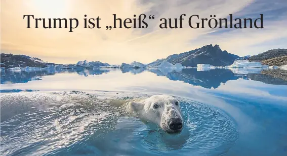  ?? [ Getty ] ?? Das arktische Grönland ist die größte Insel der Welt, hat etwa die 16-fache Fläche Österreich­s, viele noch unangetast­ete Ressourcen – und natürlich Eisbären.