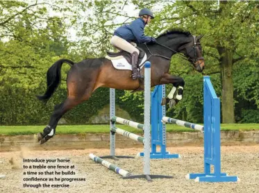  ??  ?? Introduce your horse to a treble one fence at a time so that he builds confidence as he progresses through the exercise