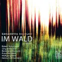  ?? ?? La copertina Benedetto Boccuzzi, Im Wald (composizio­ni di Schumann, Widmann, Boccuzzi, Schubert, Rihm e Lachenmann), Digression­e Music 2022