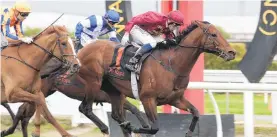  ?? PHOTO: TRISH DUNELL/NZ RACING DESK ?? Dramatic end . . . Endless Drama holds out a fastfinish­ing Te Akau Shark to win the group 2 Foxbridge Plate at Te Rapa.