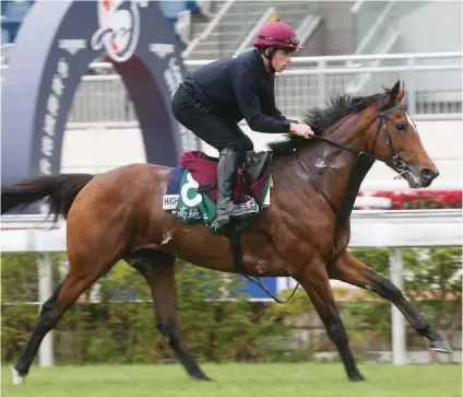  ??  ?? CHASING DOUBLE. Highland Reel, pictured galloping at Sha Tin last year, will be looking for a double in the Grade 1 Hong Kong Vase at the course on Sunday.