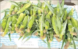  ?? Photo by Brian D. Stockman ?? Local Elk County sweet corn from Ernie Mattiuz’s Earlyville Farm in Kersey.