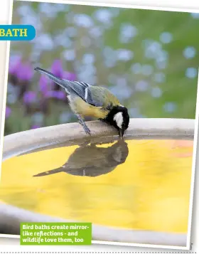  ??  ?? Bird baths create mirrorlike reflection­s - and wildlife love them, too