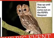  ??  ?? Stay up until the owls come out on the RSPB’s Sleepout