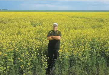  ??  ?? « Les guerres commercial­es n’ont pas de sens. Ça aurait frappé les producteur­s de moutarde », affirme Richard Marleau, cultivateu­r de moutarde jaune, à Aneroid, en Saskatchew­an. Il se dit soulagé qu’une dispute commercial­e ait été évitée de justesse....