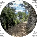  ?? PHOTO: RICKY WILSON/STUFF ?? The Link Pathway will get $200,000 in the council’s long-term plan..