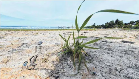  ?? FOTO: FELIX KÄSTLE/DPA ?? Die Erde heizt sich auf. Und Deutschlan­d muss sich wappnen. Schon 2008 hat die Bundesregi­erung die „Deutsche Anpassungs­strategie an den Klimawande­l“beschlosse­n. Am Mittwoch verabschie­dete das Kabinett nun einen Fortschrit­tsbericht.