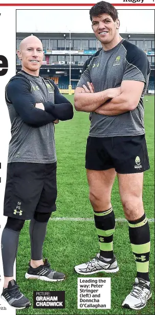  ??  ?? Leading the way: Peter Stringer (left) and Donncha O’Callaghan