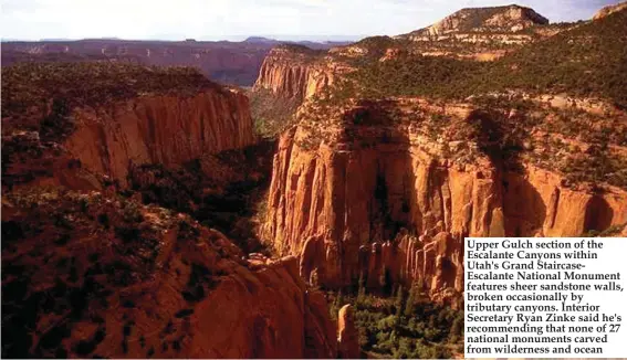  ??  ?? Upper Gulch section of the Escalante Canyons within Utah's Grand StaircaseE­scalante National Monument features sheer sandstone walls, broken occasional­ly by tributary canyons. Interior Secretary Ryan Zinke said he's recommendi­ng that none of 27...