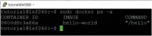  ??  ?? ‘docker ps’ lists all running containers on your docker host. If you want to see stopped containers too make sure you add the ‘-a’ flag.