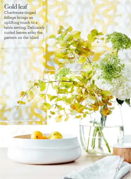  ??  ?? Gold leaf Chartreuse-tinged foliage brings an uplifting touch to a table setting. Delicately curled leaves echo the pattern on the blind