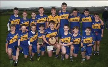  ??  ?? The Tomacork under-13 footballer­s who defeated Michael Dwyers in the county final on Monday.