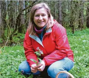  ?? Fotos: Heike Scherer ?? Kräuterexp­ertin Kariene Eikelmann aus Baindlkirc­h zeigt das Lungenkrau­t, das zu ihren Lieblingsk­räutern gehört. Es wächst im Wald und hat lila- und rosafarben­e Blüten. Sie hat es auch in ihrem eigenen Garten angebaut und trinkt es gerne als Tee.