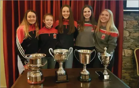  ??  ?? Tinahely captains for the past five years: Kasey Byrne, Anna Tallon, Siobhan Mulhall, Eimear O’Brien and Siofra Byrne.