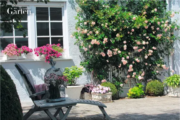  ??  ?? Bepflanzte Töpfe
und Kästen tragen im Sommer zur Üppigkeit bei. Auch ein Vogelbauer dient als Blumenhalt­er.