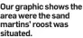  ??  ?? Our graphic shows the area were the sand martins’ roost was situated.