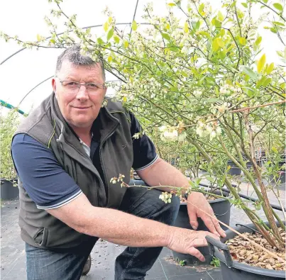  ??  ?? Allen Innes, farm manager at East Seaton farm in Arbroath, has been shortliste­d in the Soft Fruit Grower of the Year category at this year’s Horticultu­re Week awards.