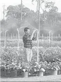  ?? FILE ?? Palm Beach Soil and Water Conservati­on District field tech David Demaio installs more efficient sprinkler heads in a nursery. Palm Beach SWCD programs saved almost 500 million gallons of water over the past three fiscal years.