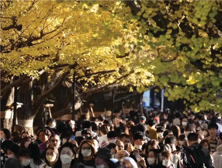  ?? ?? People walk and admire the autumnal colors of ginkgo trees in Tokyo, yesterday. (AP Photo/Shuji Kajiyama)