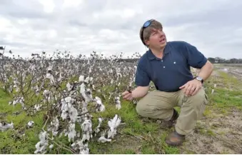  ?? HYOSUB SHIN/ATLANTA JOURNAL-CONSTITUTI­ON ?? Justin Jones shows a cotton field destroyed by Hurricane Michael at his wife’s family farm in Leesburg, Ga., on Tuesday.