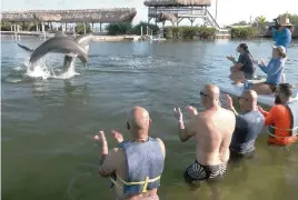  ?? STEVE PANARIELLO Florida Keys News Bureau ?? Retired military veterans applaud dolphin activities Oct. 14 at Dolphin Research Center in Marathon.