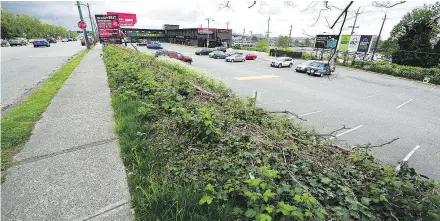  ?? — NICK PROCAYLO ?? The city-owned lot now known as the Marpole Midden is currently a parking lot beside the old Fraser Arms Hotel. The Musqueam Indian Band bought the hotel property in the early 1990s.