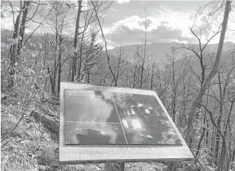  ?? Jonathan Mattise / Associated Press ?? A placard on the Memorial Forest Walk at Anakeesta adventure park in Gatlinburg, Tenn. The Memorial Walk includes photos and stories of the wildfires that killed 14 people last November.