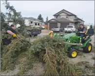  ?? NEWS PHOTO JEREMY APPEL ?? David and Reuben Bechtold clean up their yard after one of their trees was blown over during Tuesday night’s intense wind storm.