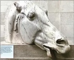  ?? ?? ANCIENT: The original Selene’s Stallion head at the British Museum