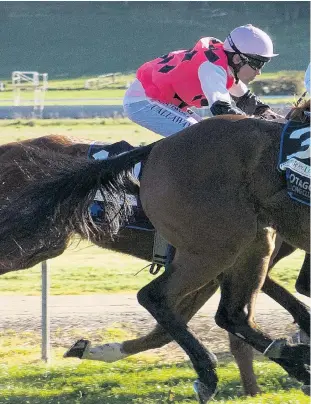  ?? PHOTO: JONNY TURNER ?? On fire . . . Somethings Burning and Chris Johnson (outer) pip Saber and Jillian Morris on the post to win the open sprint at Oamaru yesterday.