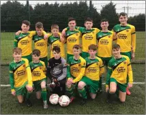  ??  ?? The Rathnew side that defeated Wicklow Rovers in the U15 CommunityS­hield final on Saturday in Arklow.