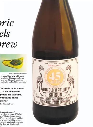  ?? Fossil Fuels Brewing Company ?? A 45 million-year-old yeast strain in this amber, above, was used to craft a saison, right, by an East Bay brewery.