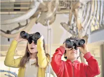  ??  ?? Family focus: intrepid explorers at the Museum of Zoology in Cambridge