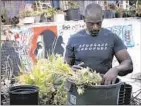  ?? Delirio Films / LAFF ?? L.A. MUSE selection “Can You Dig This” looks at urban gardening in South L.A.