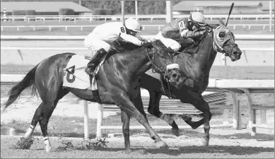  ?? LAUREN KING/COGLIANESE PHOTOS ?? Jackson (right) wins a maiden race at Gulfstream. He will be a contender in the Juvenile Sprint.