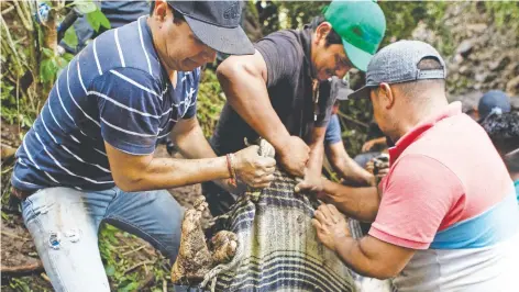  ??  ?? En la comunidad de Corona, a aproximada­mente 10 kilómetros de Peribán, habitantes lograron la recuperaci­ón de cuatro cuerpos.